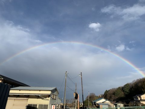 虹、出ましたね